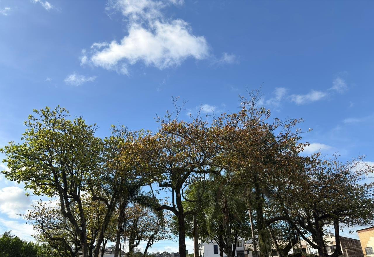 Chuva perde força em Juiz de Fora após mortes e estragos | G1