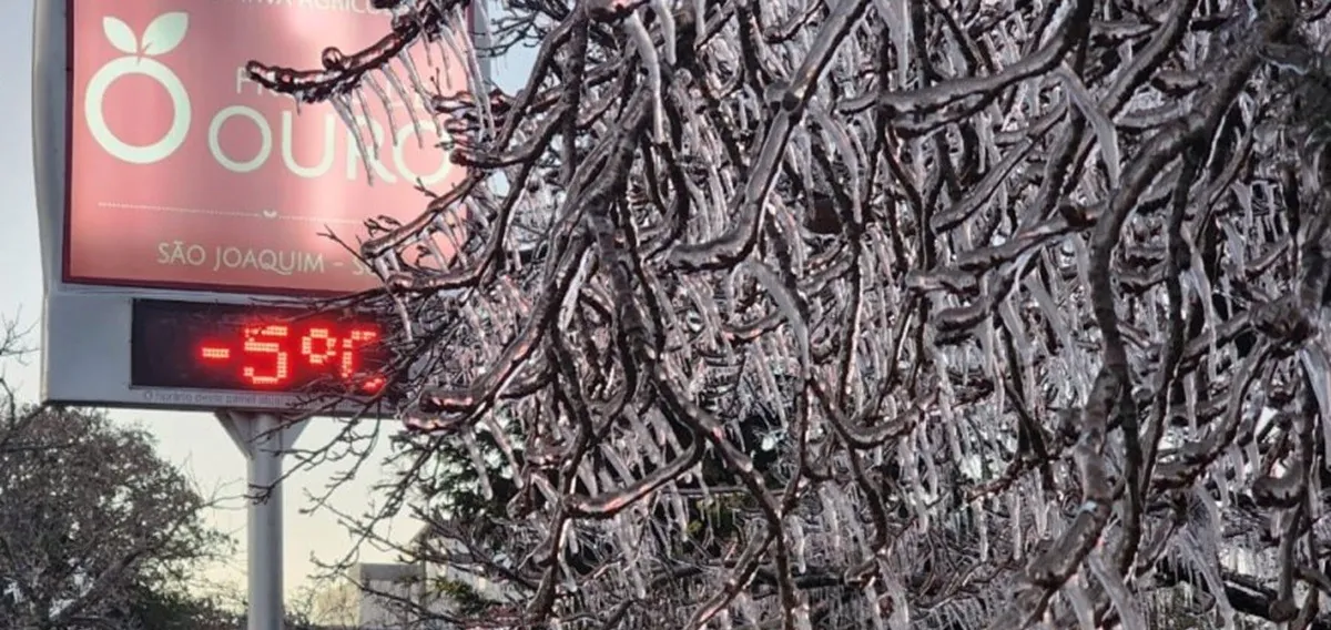 SC pode registrar até -5°C na madrugada com avanço de massa de ar frio; veja onde