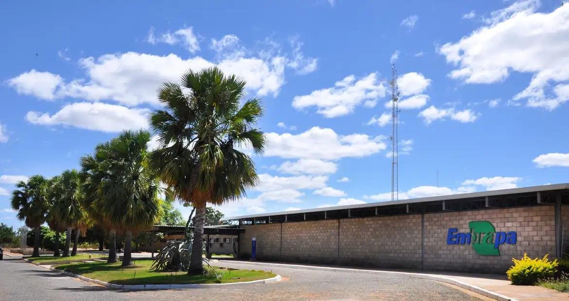 Aplicativo gratuito da Embrapa ajuda a planejar barragens no semiárido