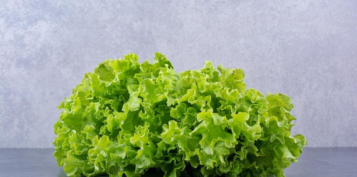 Chef ensina truque simples para manter a alface fresca por até 60 dias