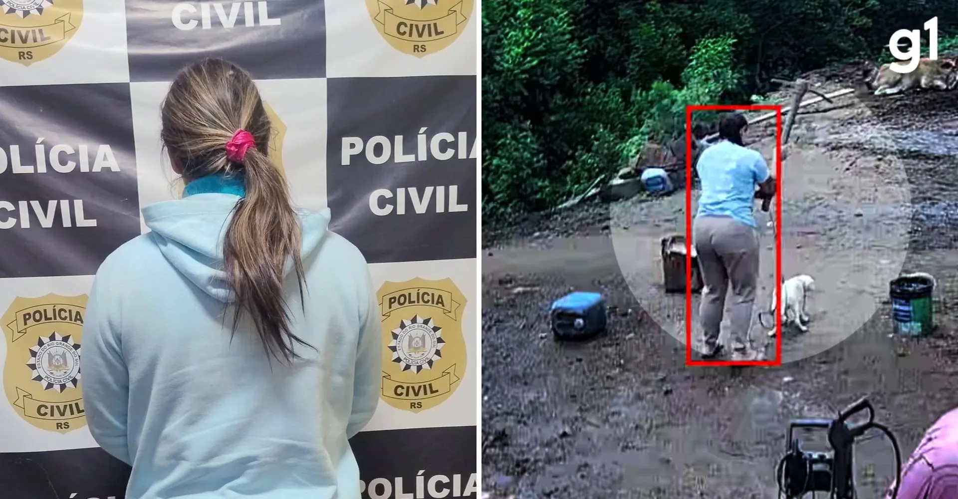 MP-RS denuncia casal pela morte do cão Branquinho com picareta e maus-tratos a outros animais em Porto Alegre