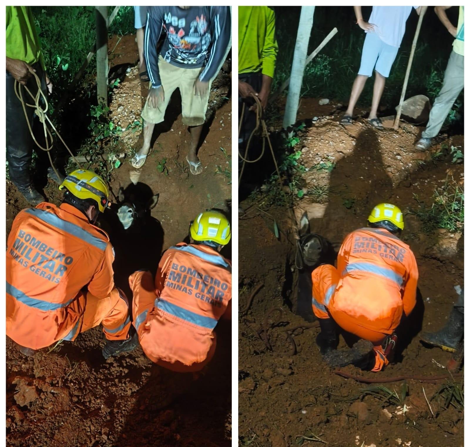Burro cai em buraco de construção e é resgatado pelos bombeiros em MG | G1