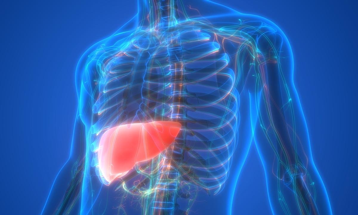 Endocrinologista ensina como eliminar gordura no fígado rapidamente