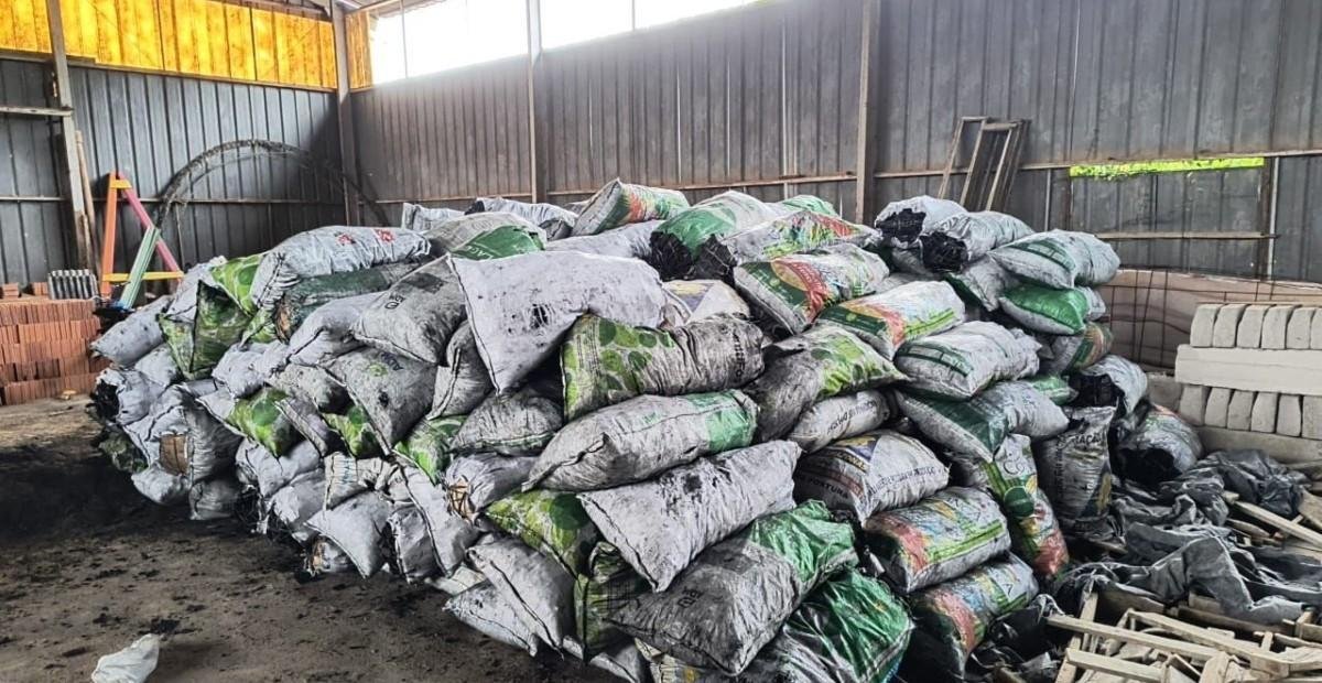 Ipaam apreende 500 sacas de carvão ilegal no Amazonas | G1