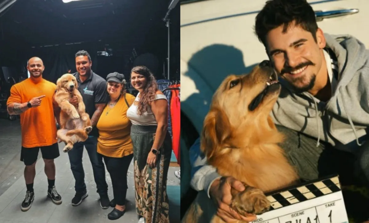 Shurastey: conheça filhote que interpretou cão em cena de filme | G1