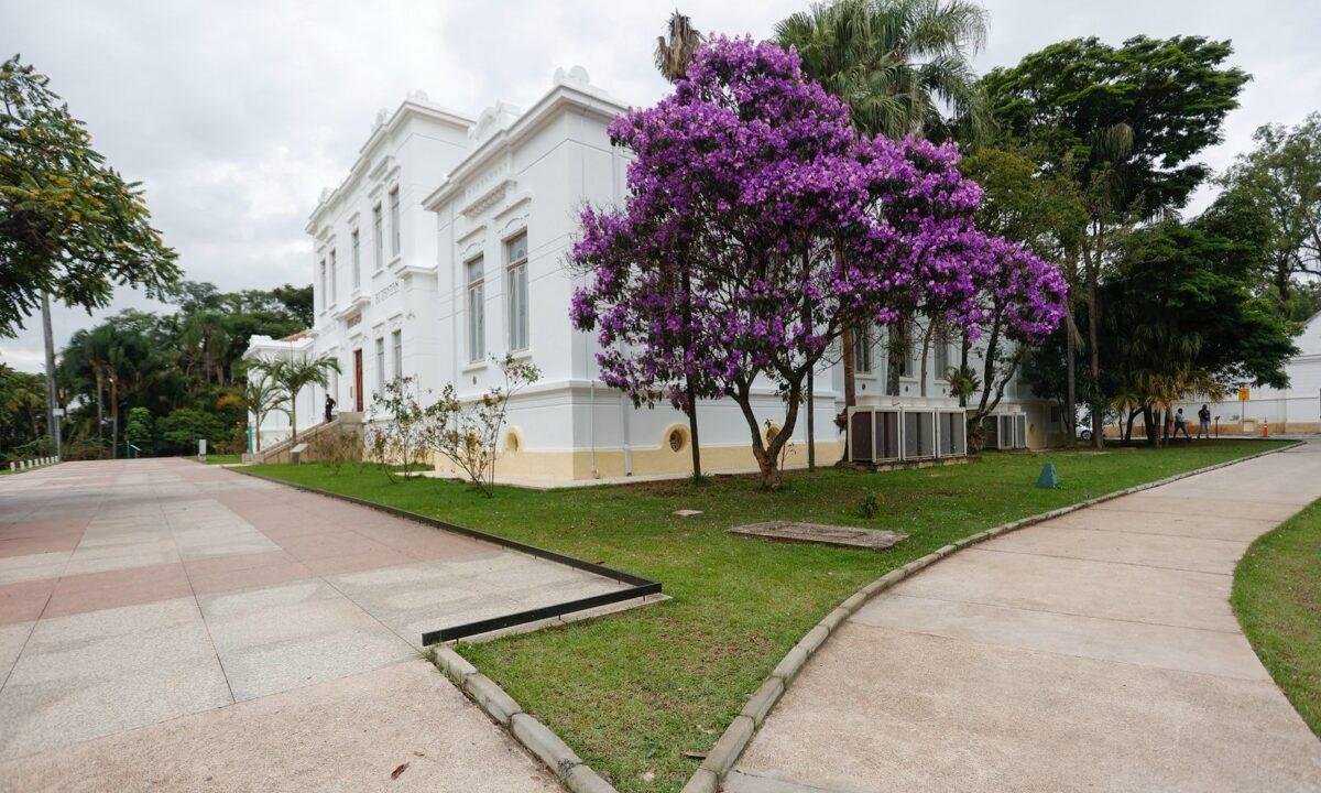 Vizinhos reclamam de barulho do Instituto Butantan: “Não durmo”