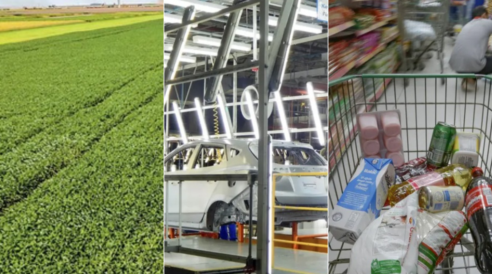 Agro, indústria e consumo: como foi o PIB de 2025 na 'vida real'