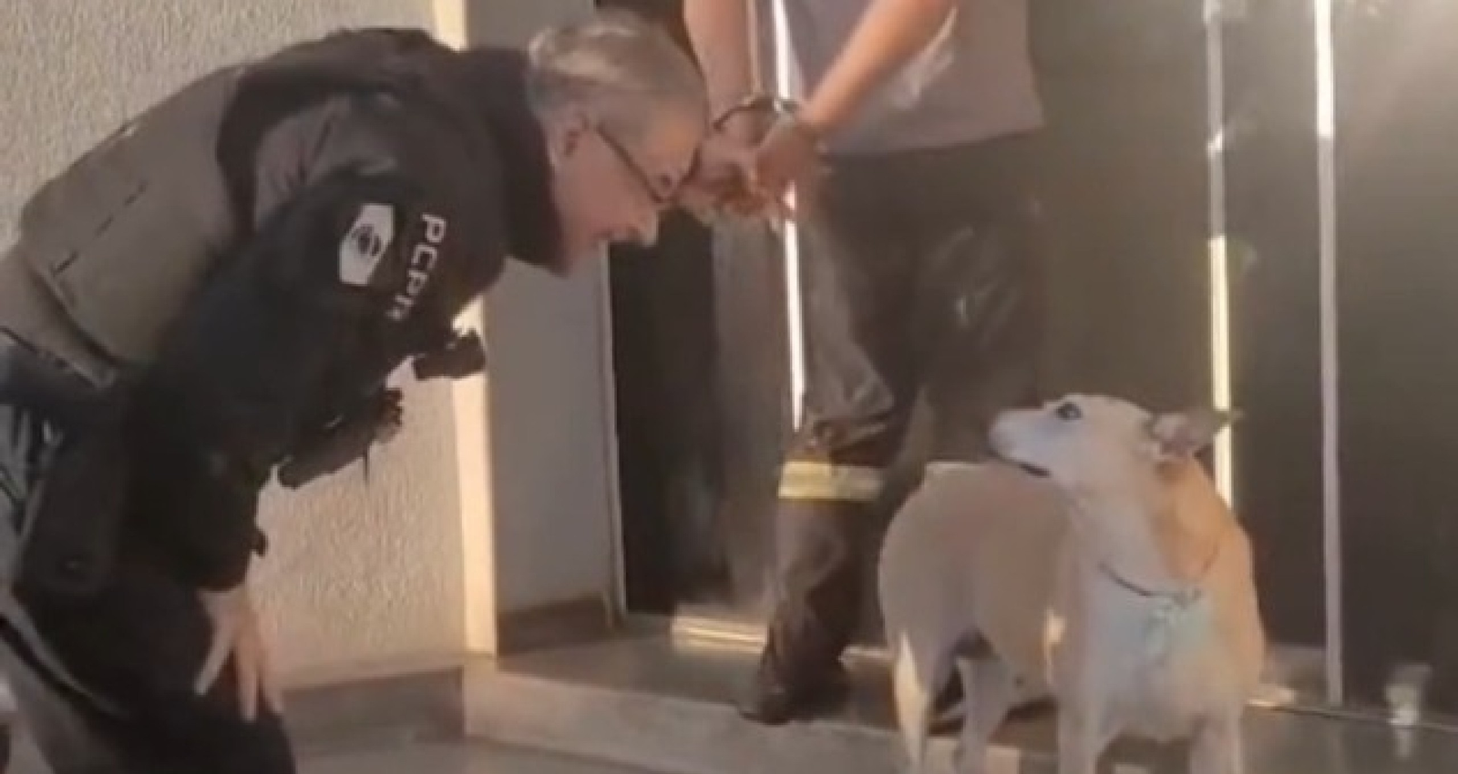 Delegado interrompe condução de preso para cumprimentar cachorro comunitário e gentileza viraliza; VÍDEO | G1