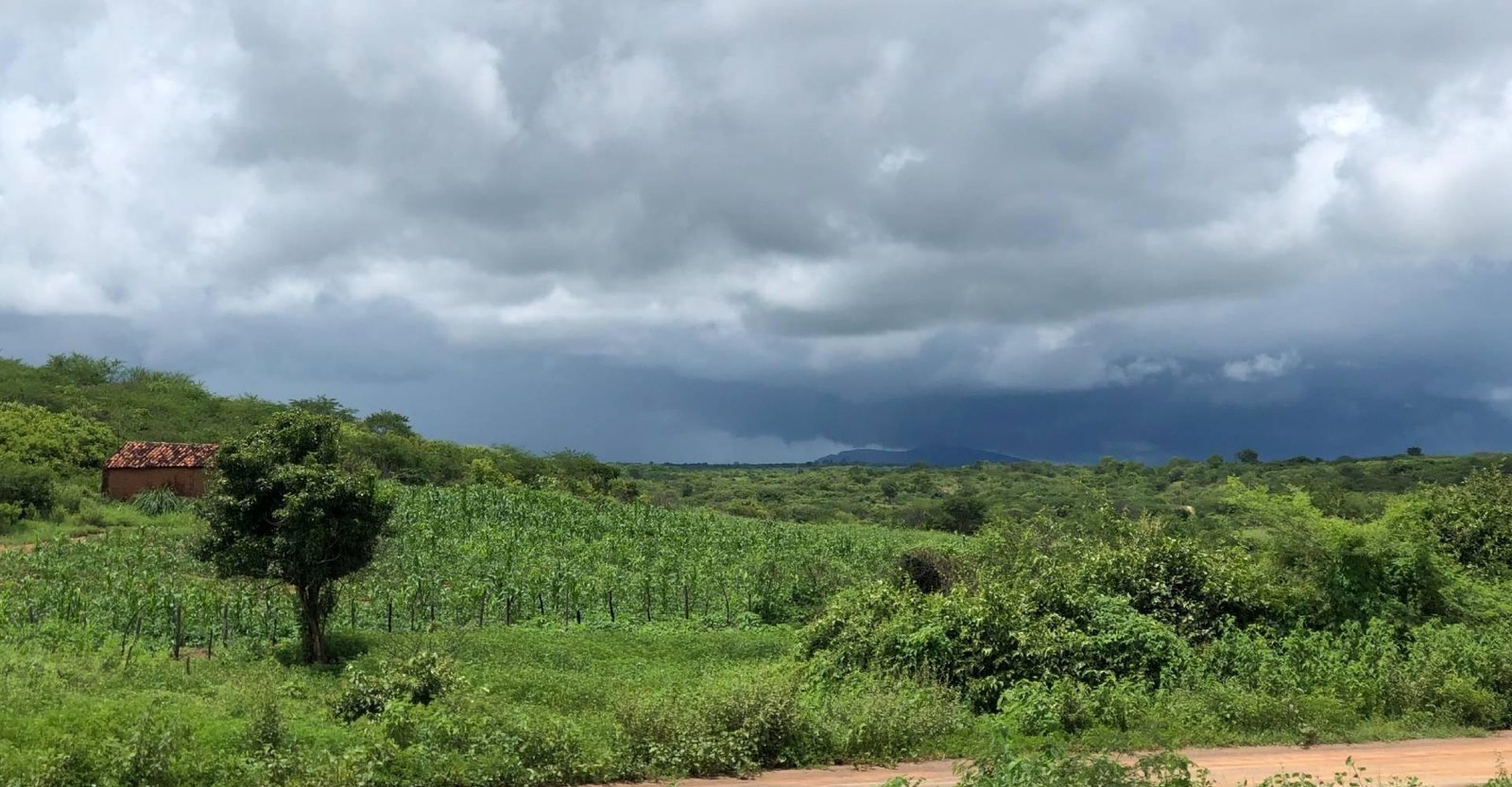 Instituto emite alerta de chuvas intensas para cidades do Ceará; veja lista | G1