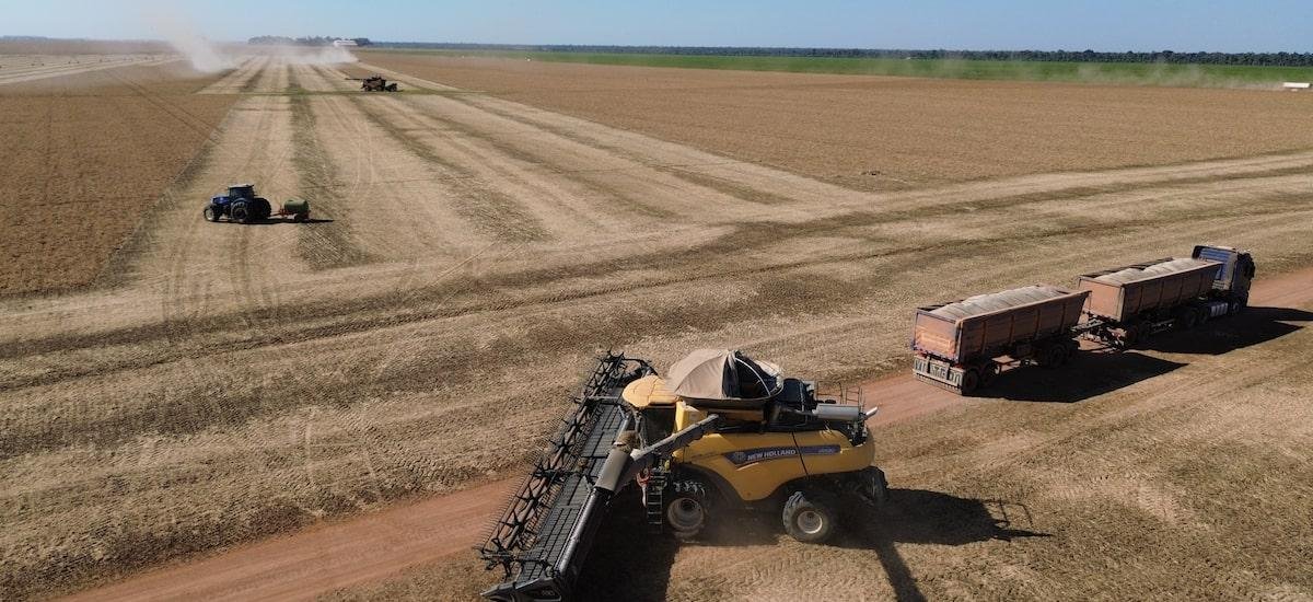 Desembolso de recursos do Plano Safra até janeiro tem recuo de 12,5%