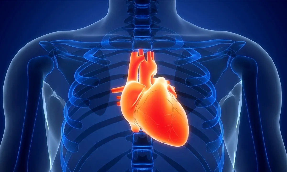 Cardiologista explica por que ficar sem dormir faz mal para o coração