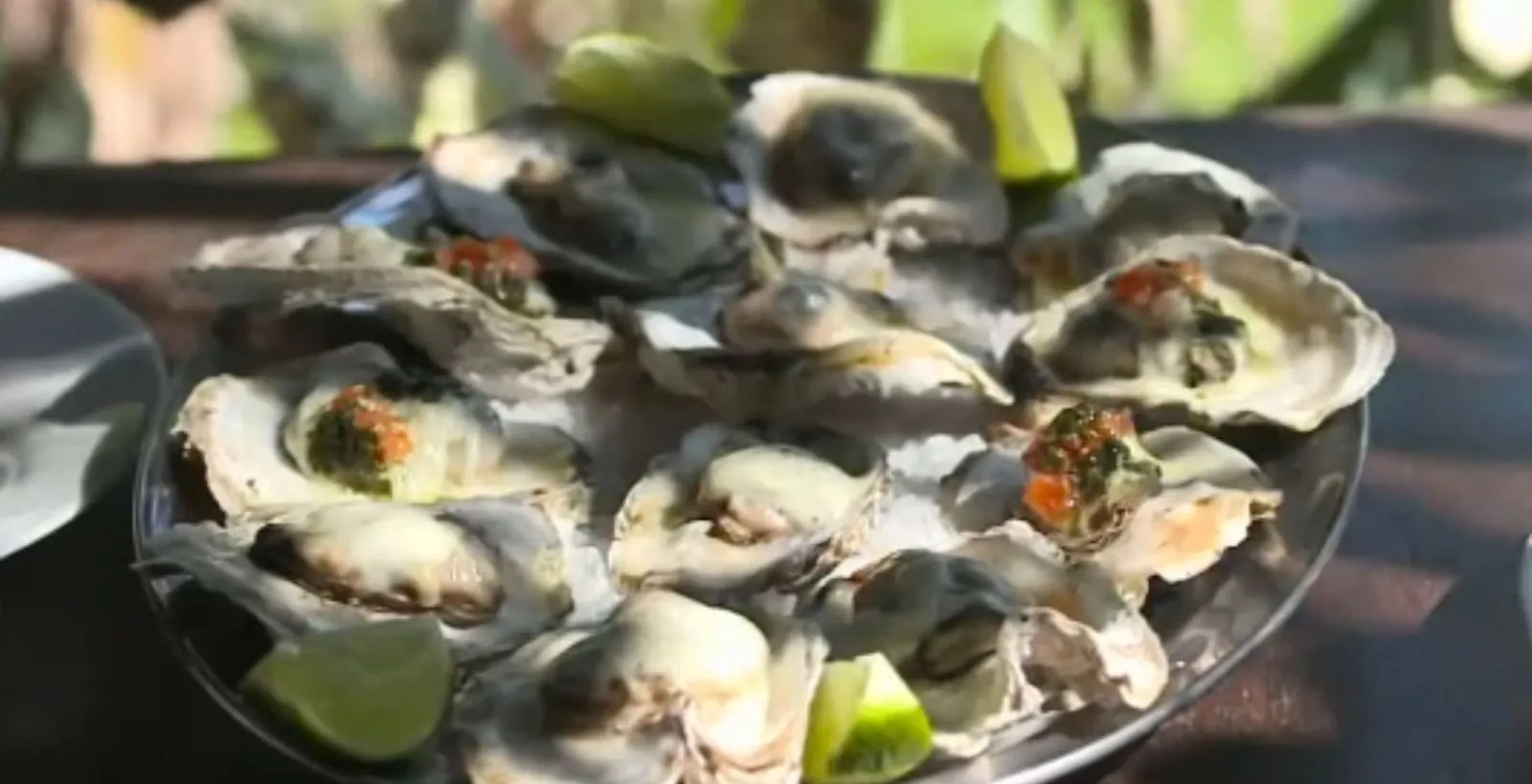 Mudança climática causa perda de 90% na produção de ostras em Florianópolis