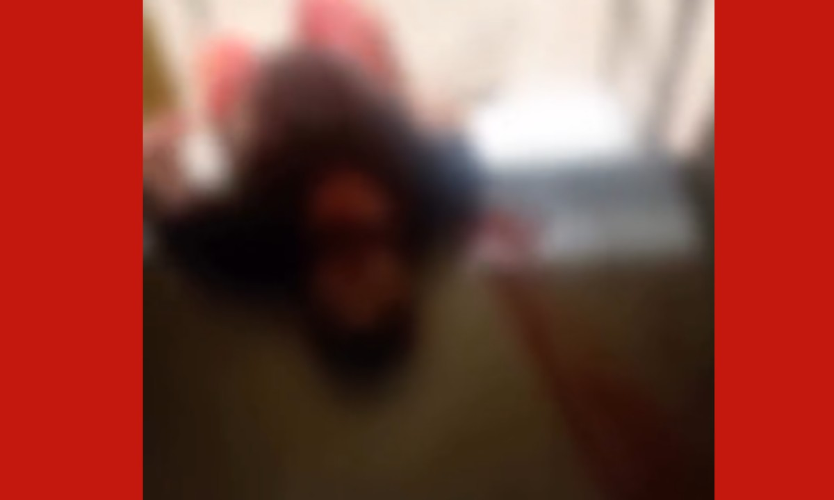 Caminhoneiro é morto a tiros após discussão em fila de carregamento | G1