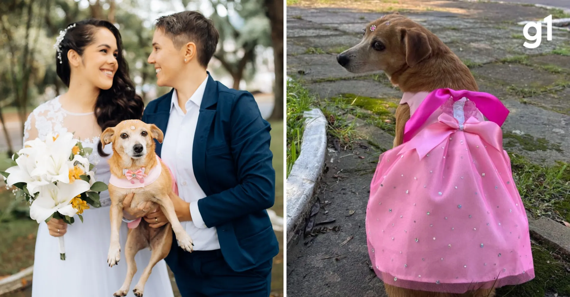 Cadela resgatada emociona ao levar alianças em casamento no RS