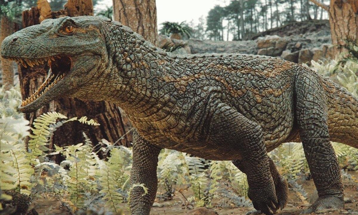 Novo fóssil de réptil reforça antiga conexão entre Brasil e África