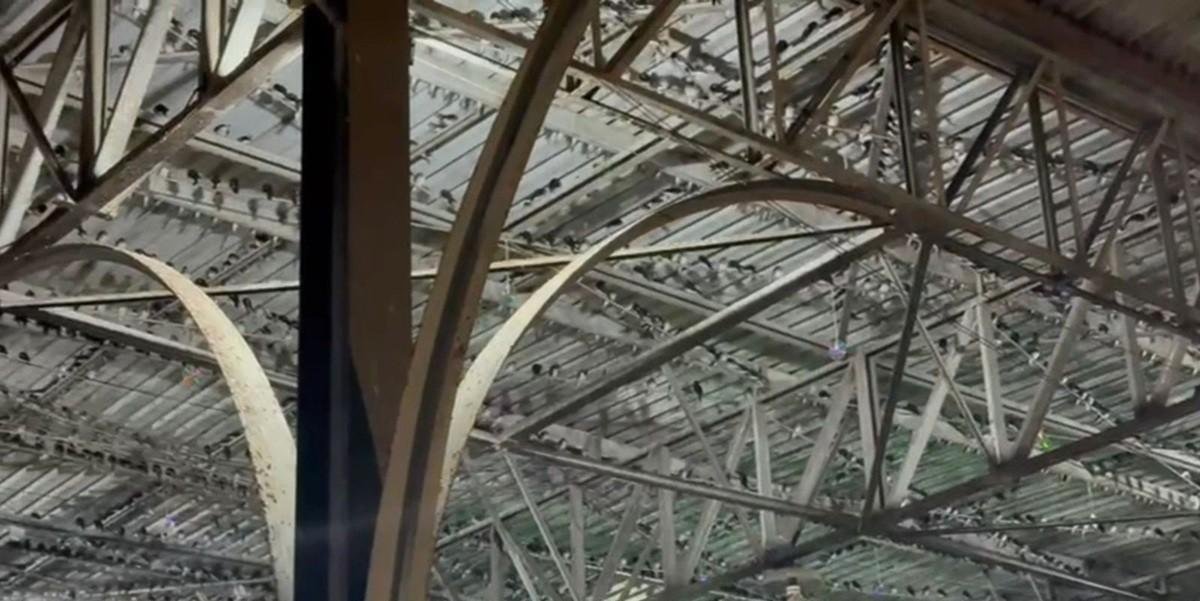 Centenas de aves se abrigam em rodoviária de Campos durante temporal | G1