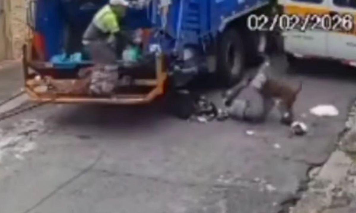 Ataque de pit-bull fere coletores de lixo e arranca dedo de um deles