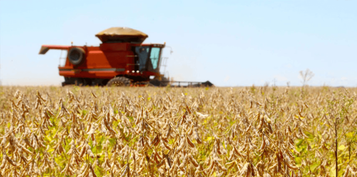 PIB do Brasil cresce 2,3% com alta do agro e soma R$ 12,7 trilhões em 2025