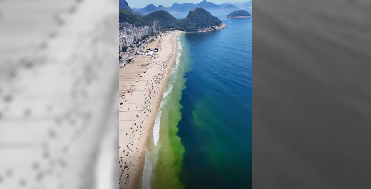 Cardumes provocam manchas escuras no mar de praias da Zona Sul