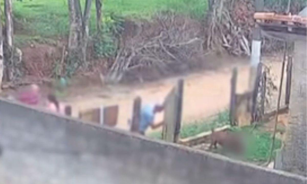 Bebê de 10 meses morre após ser atacado por pitbull no interior de SP