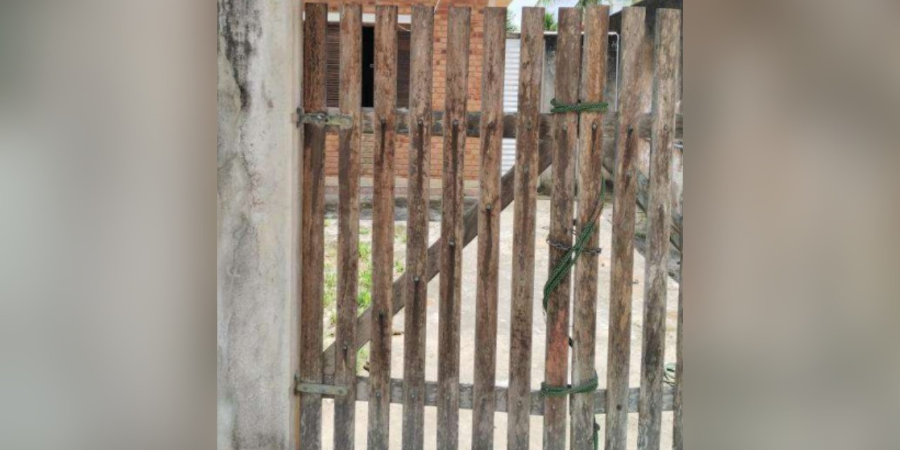 Pitbull ataca em Caraguatatuba: um cão morreu e casal ficou ferido | G1