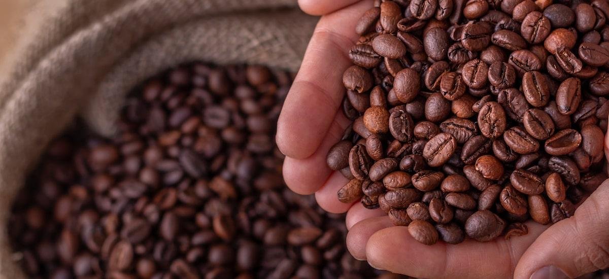 Café pode ajudar a melhorar o humor? Veja o que dizem estudos e aprenda receitas além da bebida