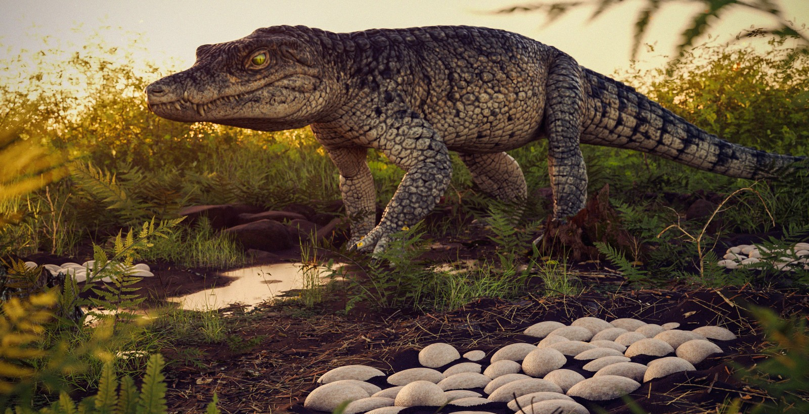 Interior de SP foi 'berçário' de crocodilos pré-históricos, diz estudo | G1