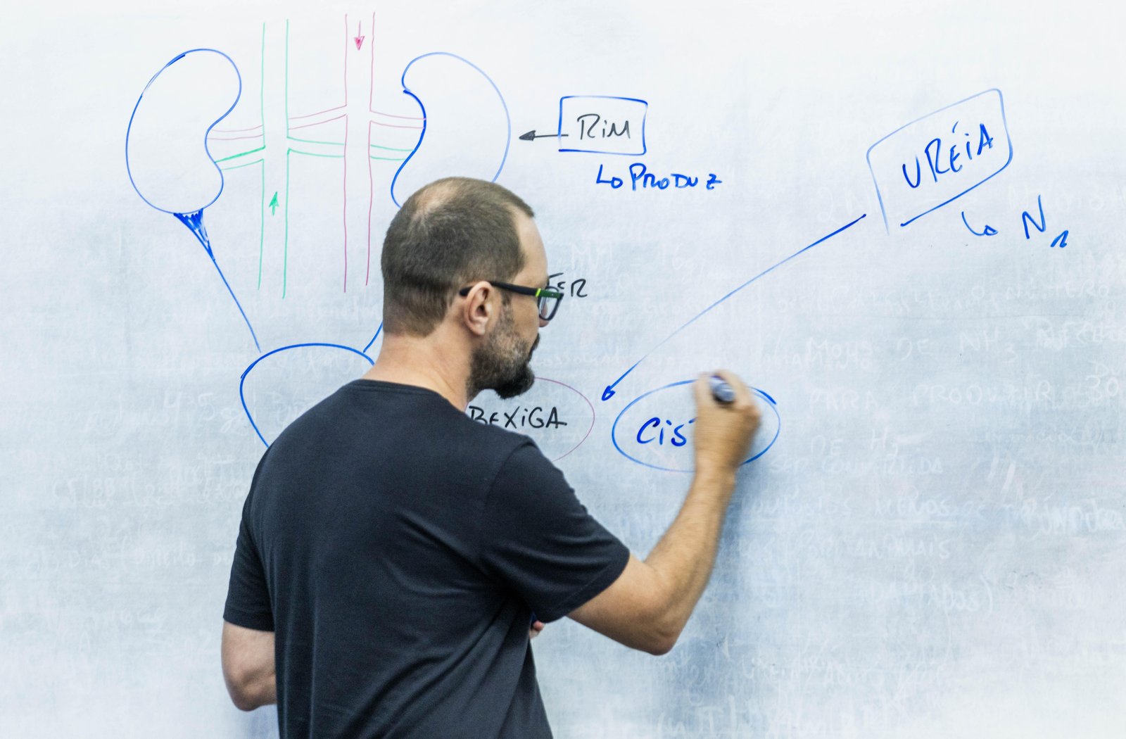 Censo Escolar 2025: Brasil avança em ensino integral e profissional, mas matrículas em creches patinam