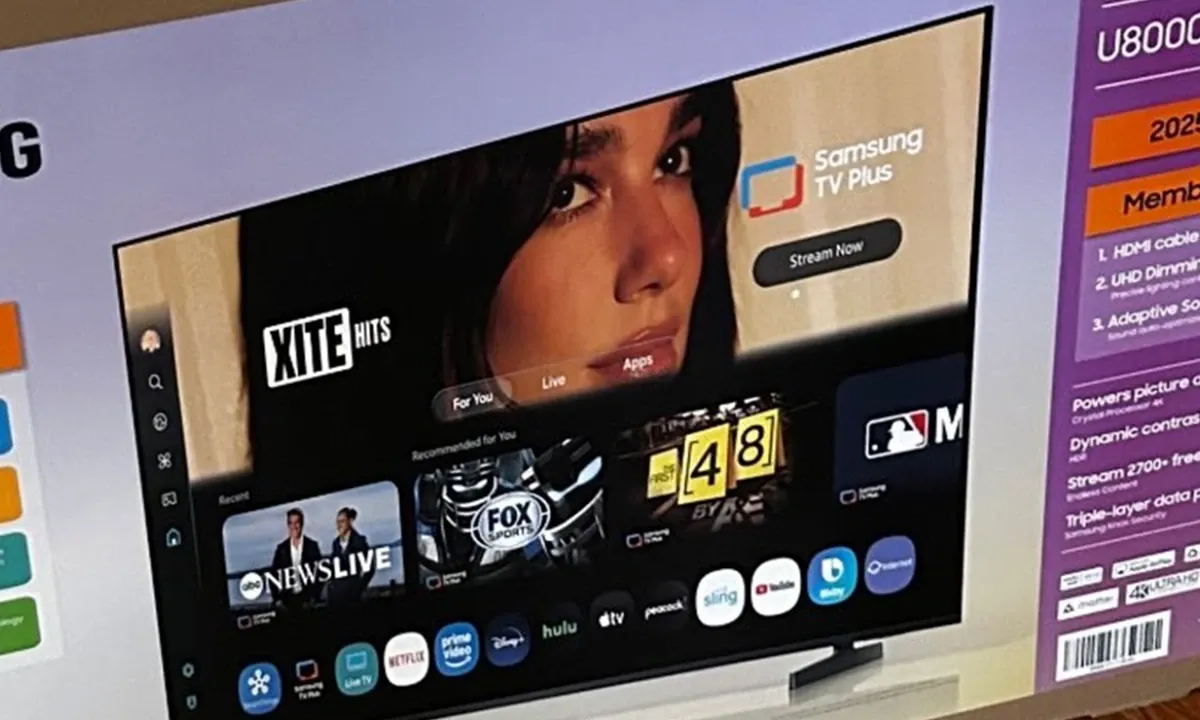 Saiba por que Samsung está sendo processada pela cantora Dua Lipa