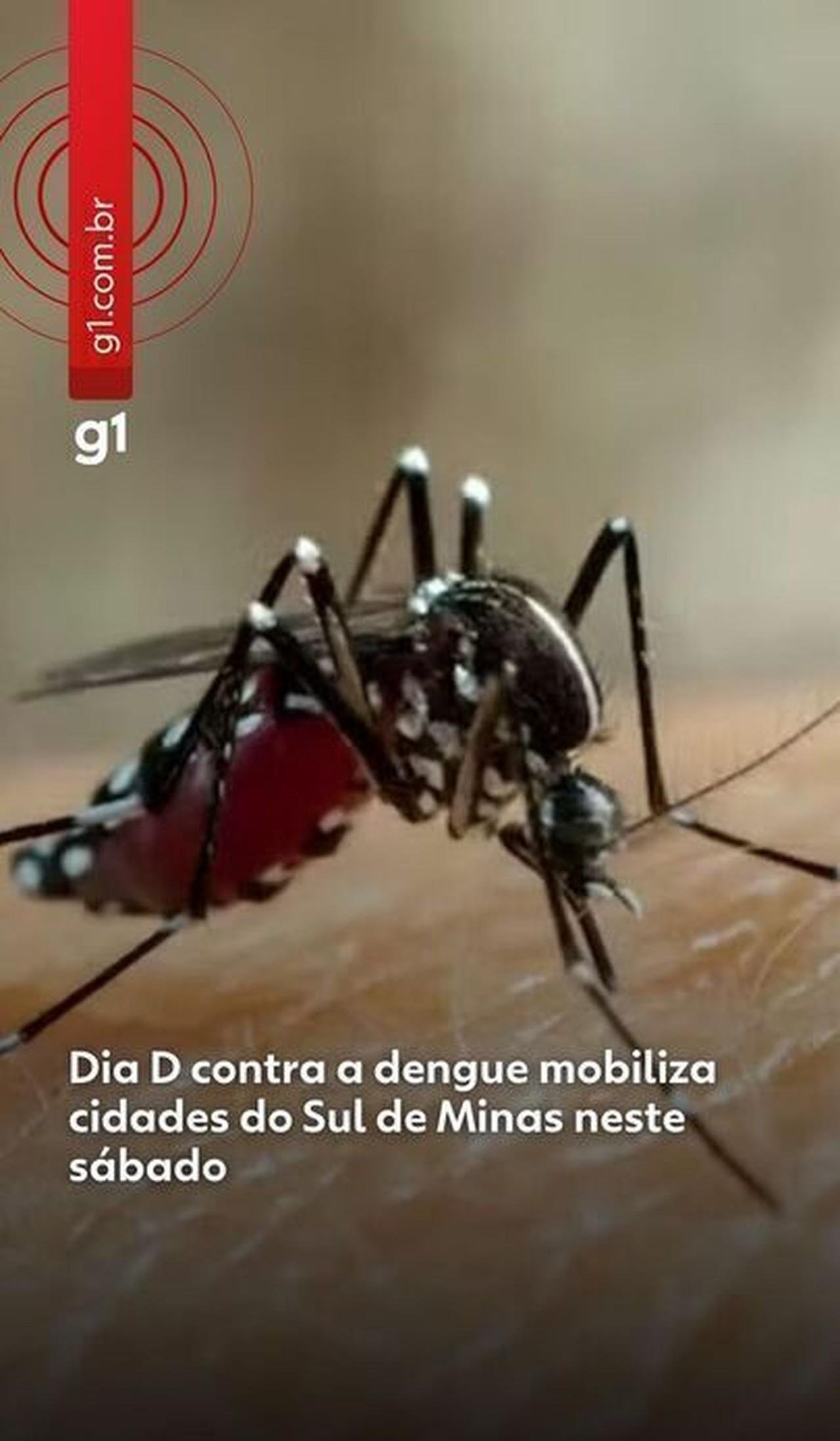 Dia D contra a dengue: campanha da EPTV mobiliza 98 cidades do Sul de Minas neste sábado | G1