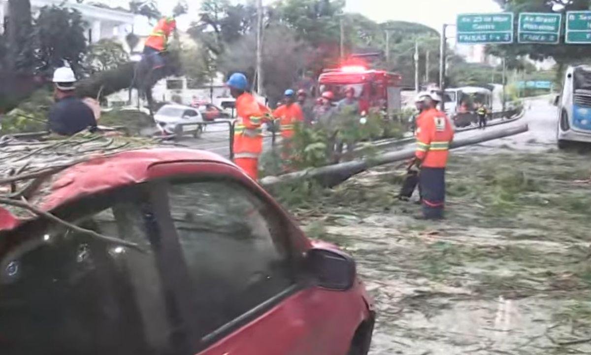 Árvore cai sobre veículos e deixa ao menos dois feridos em SP