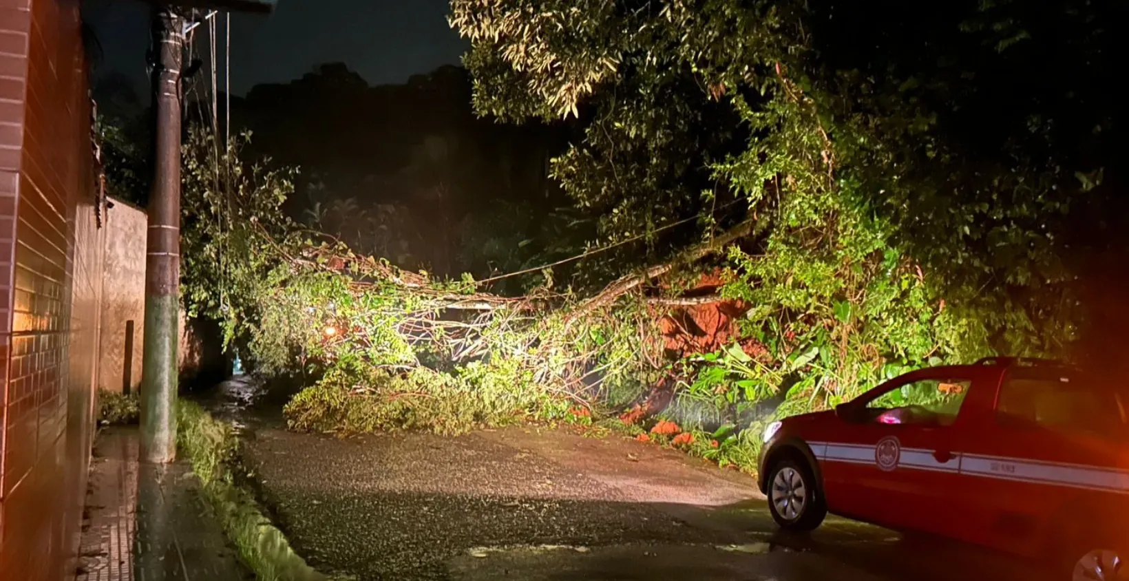 Chuva em Ubatuba: temporal causa quedas de árvores e alagamentos | G1