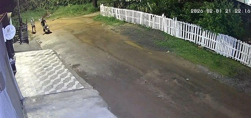 Homem encontrado morto no Rio Barigui é venezuelano