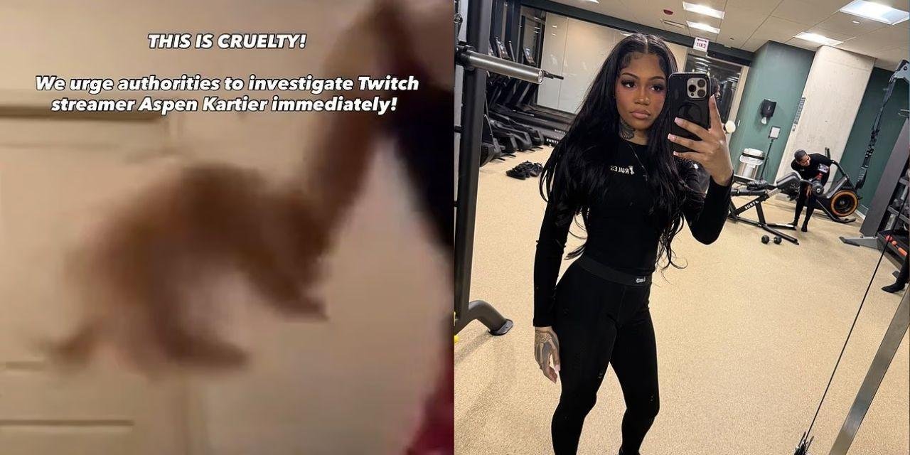Rapper é detida nos EUA após live na Twitch levantar suspeita de maus-tratos a cachorro