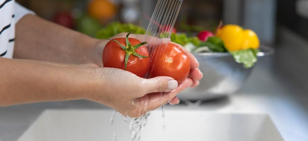 Por que consumir tomate? Confira benefícios e receitas