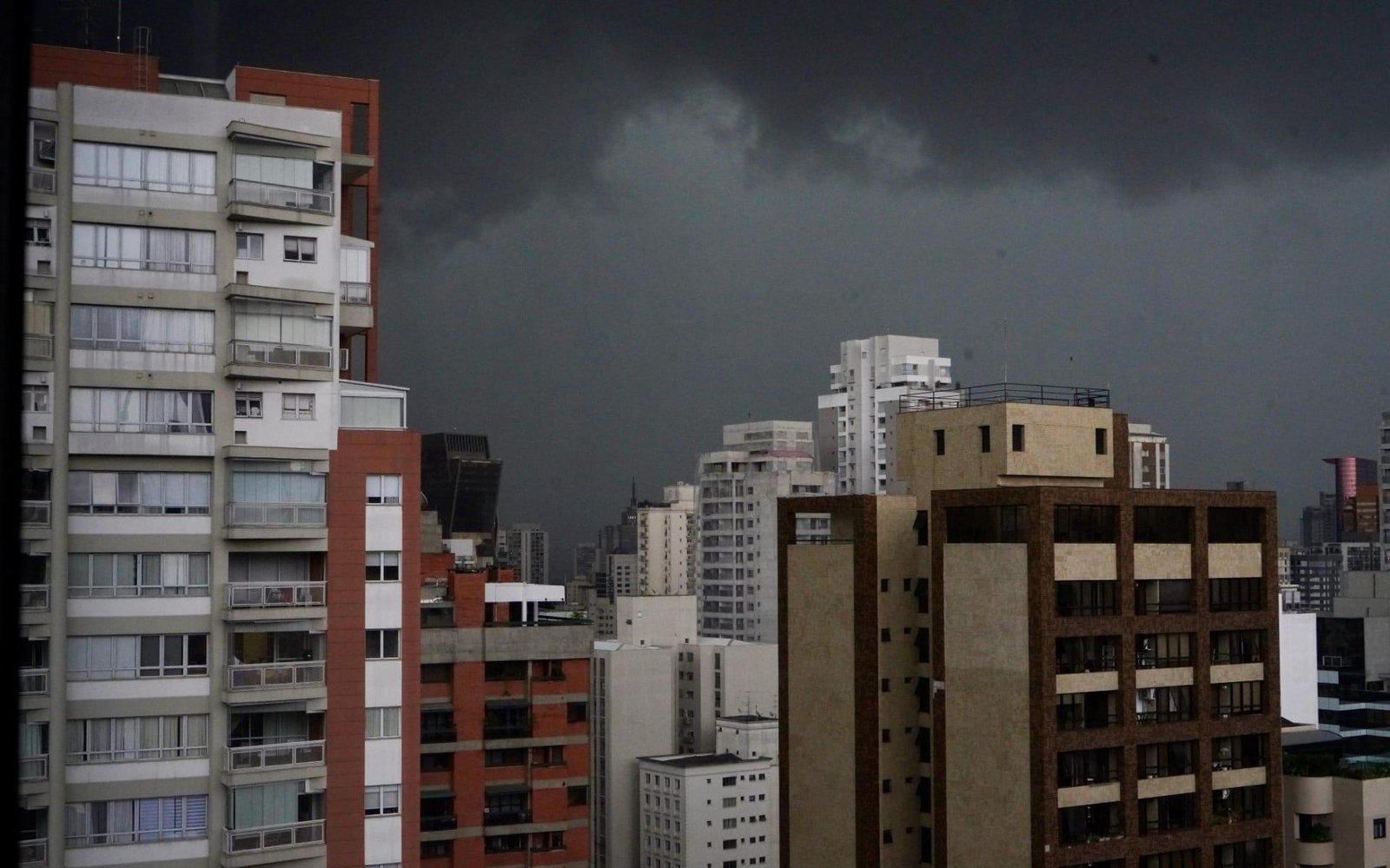 Quedas de árvore, alagamentos e destelhamento: chuva provoca danos em SP