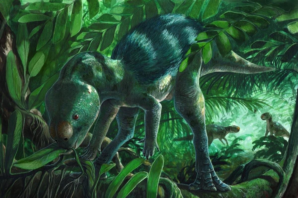 Descoberta de dinossauro minúsculo na Espanha pode fazer pesquisadores repensarem teoria da evolução; 'É impressionante!'