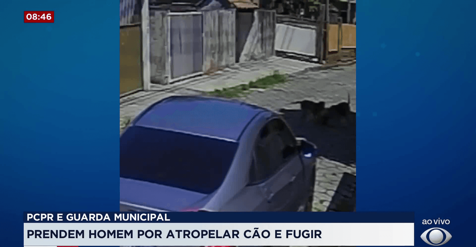 Homem é preso após atropelar cão e fugir sem socorro no PR