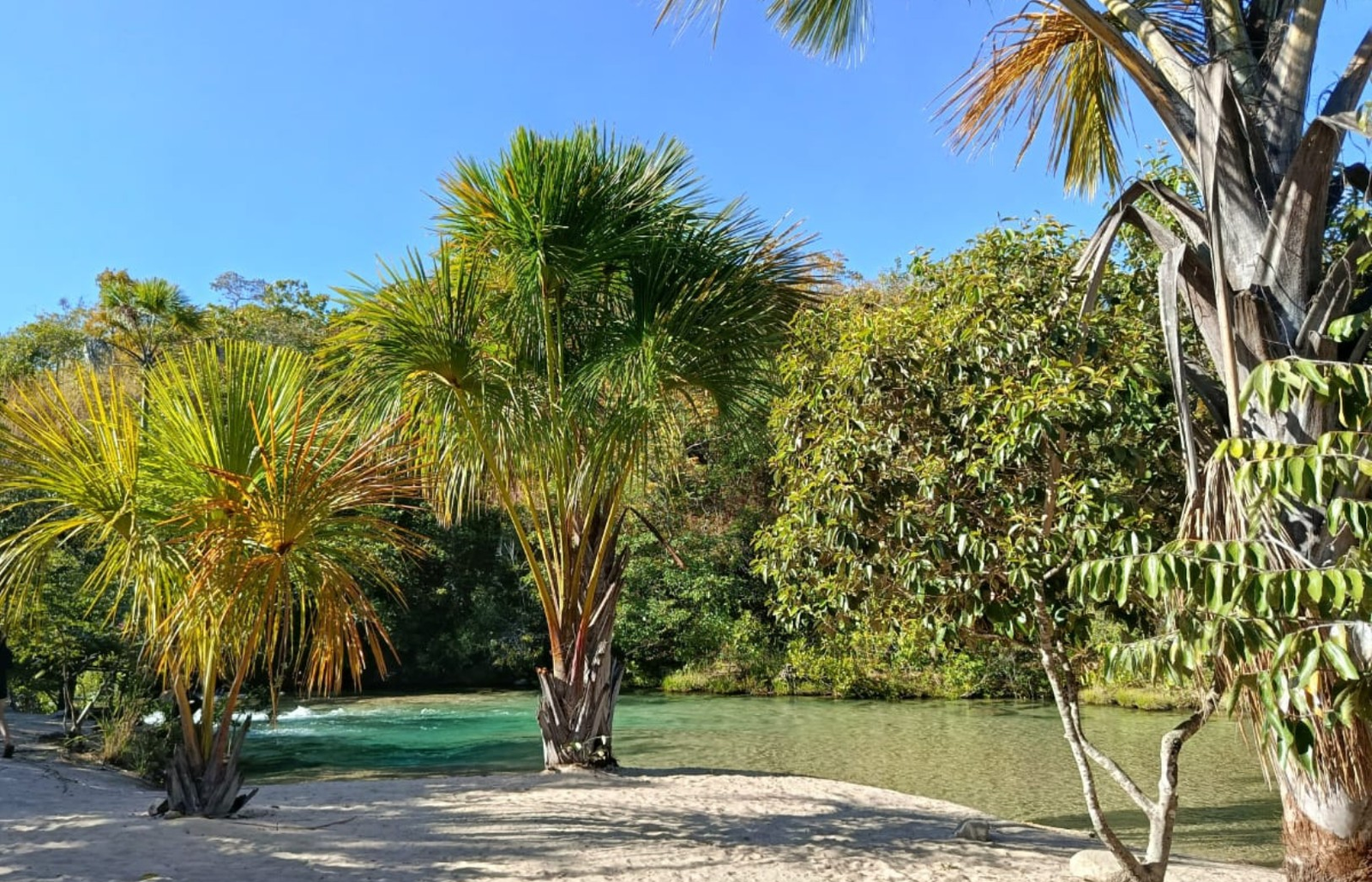 Oásis no meio do cerrado no TO: veja o guia prático para visitação | G1
