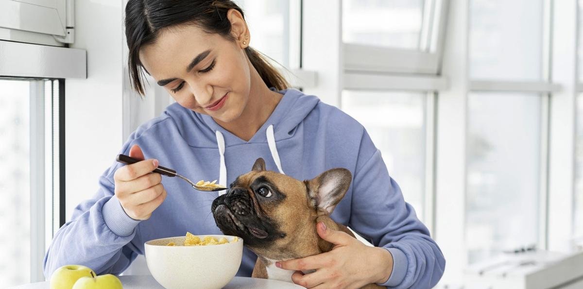 Oferecer comida do próprio prato aos pets é perigoso; entenda riscos