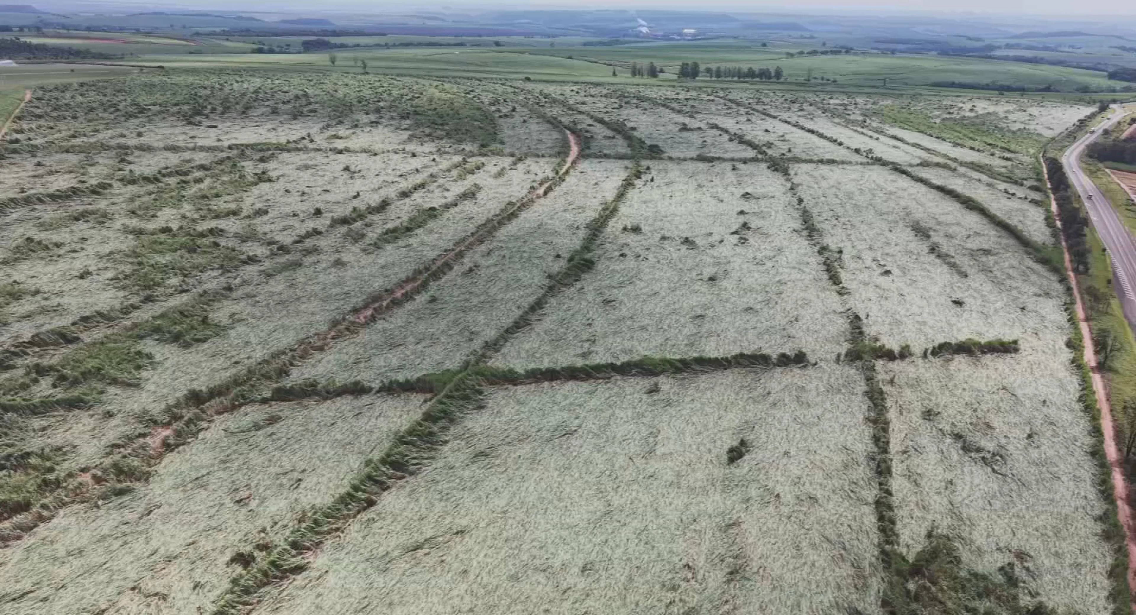 Microexplosão é suspeita de destruir canavial na SP-255