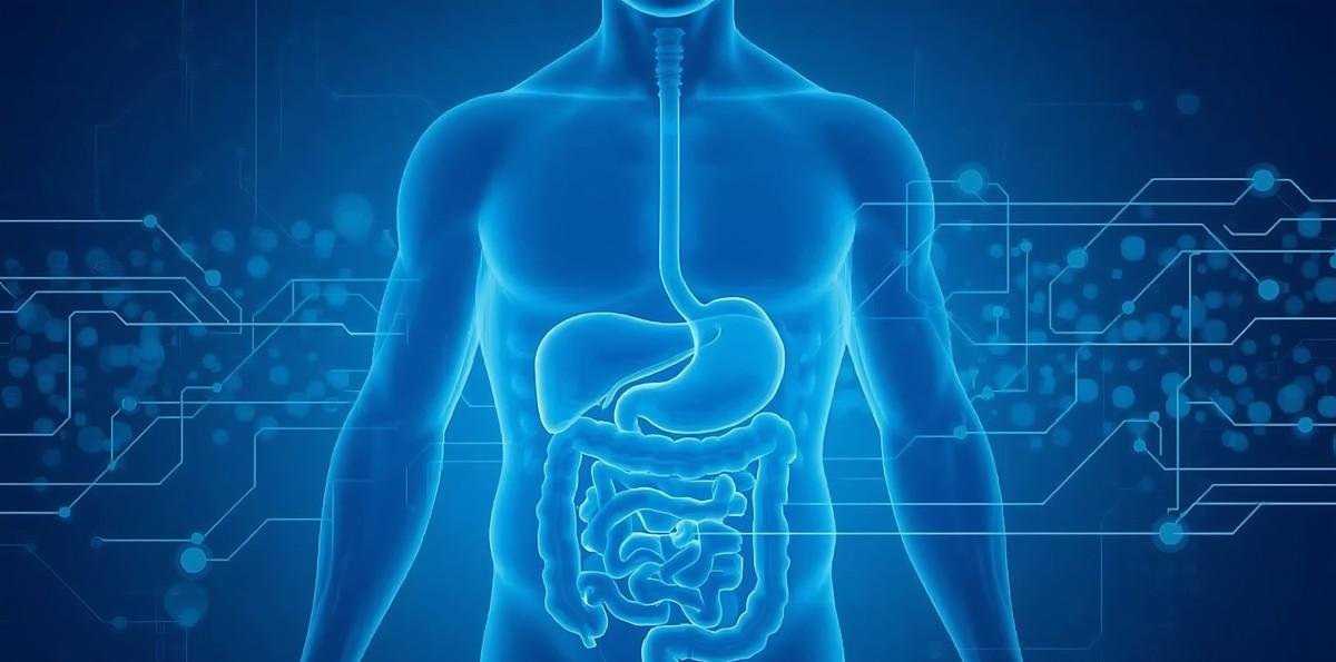 Tecnologia inova cura de doenças abdominais e metabólicas