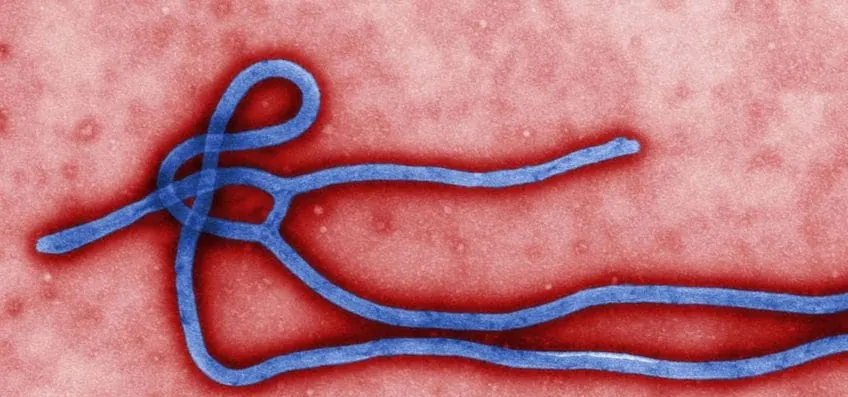 OMS diz que surto de ebola no Congo pode ter começado em janeiro