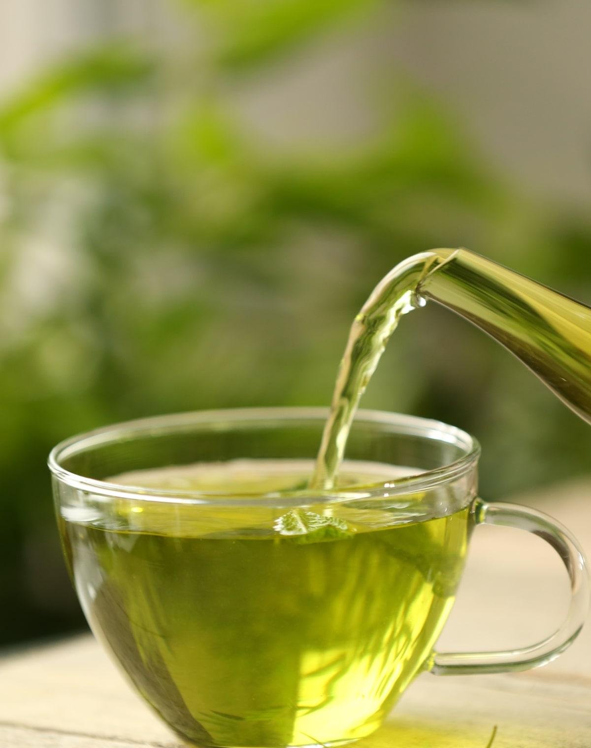 Aprenda a preparar chá verde do jeito certo para manter nutrientes