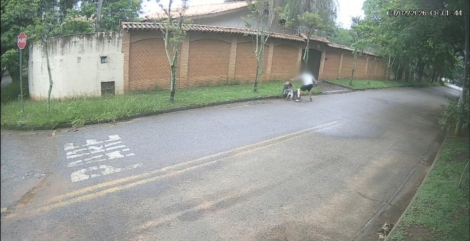 Homem acaba ferido ao salvar cães de ataque de cachorro | G1