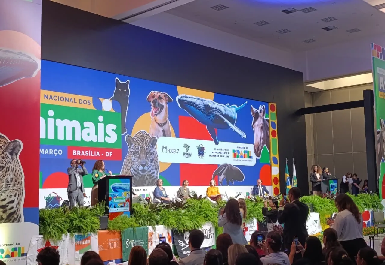 Proteção animal: ONG do Amapá cobra políticas públicas em Brasília | G1