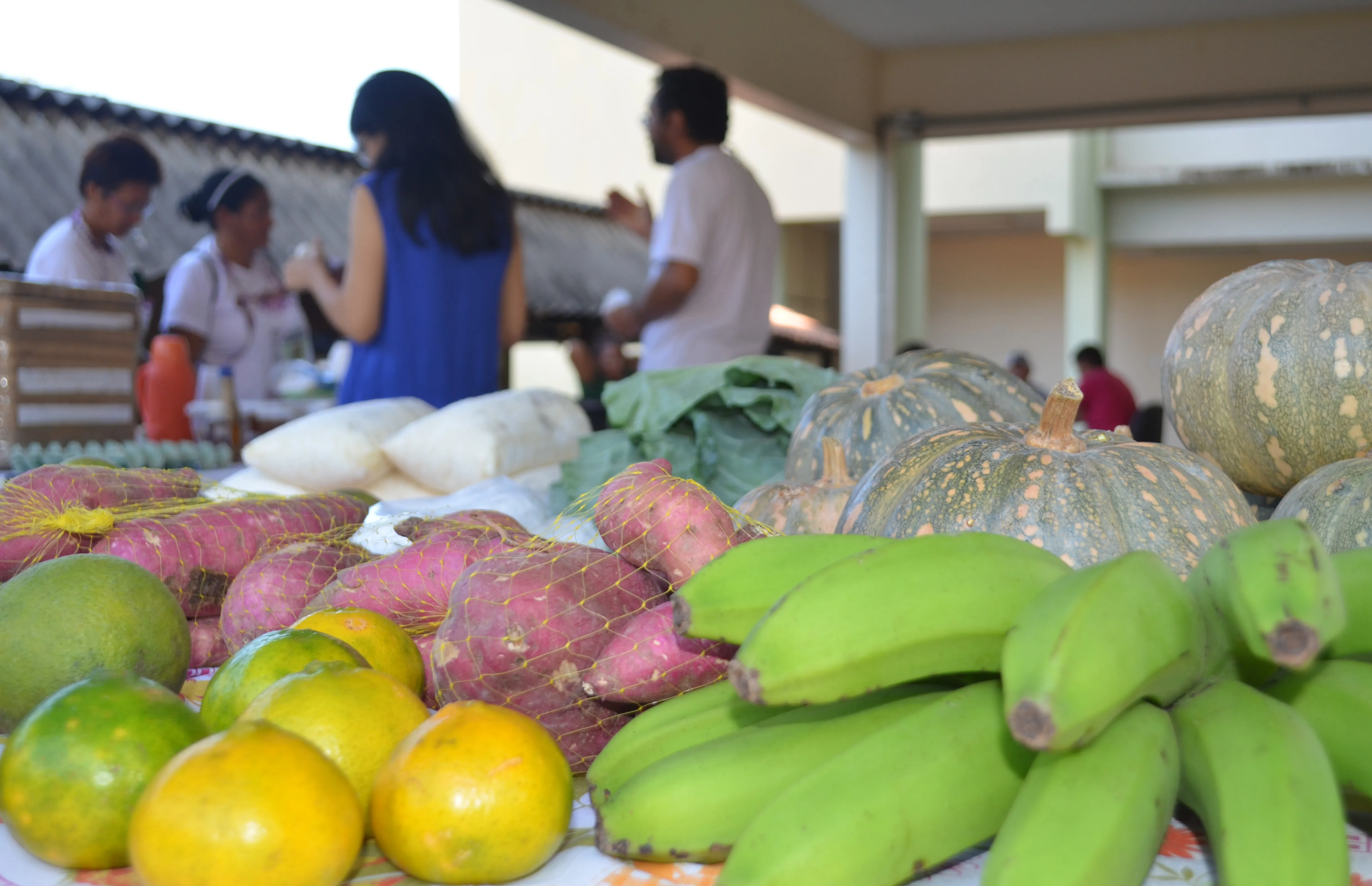 Feira da Agricultura Familiar da Ufopa homenageia mulheres em Santarém | G1