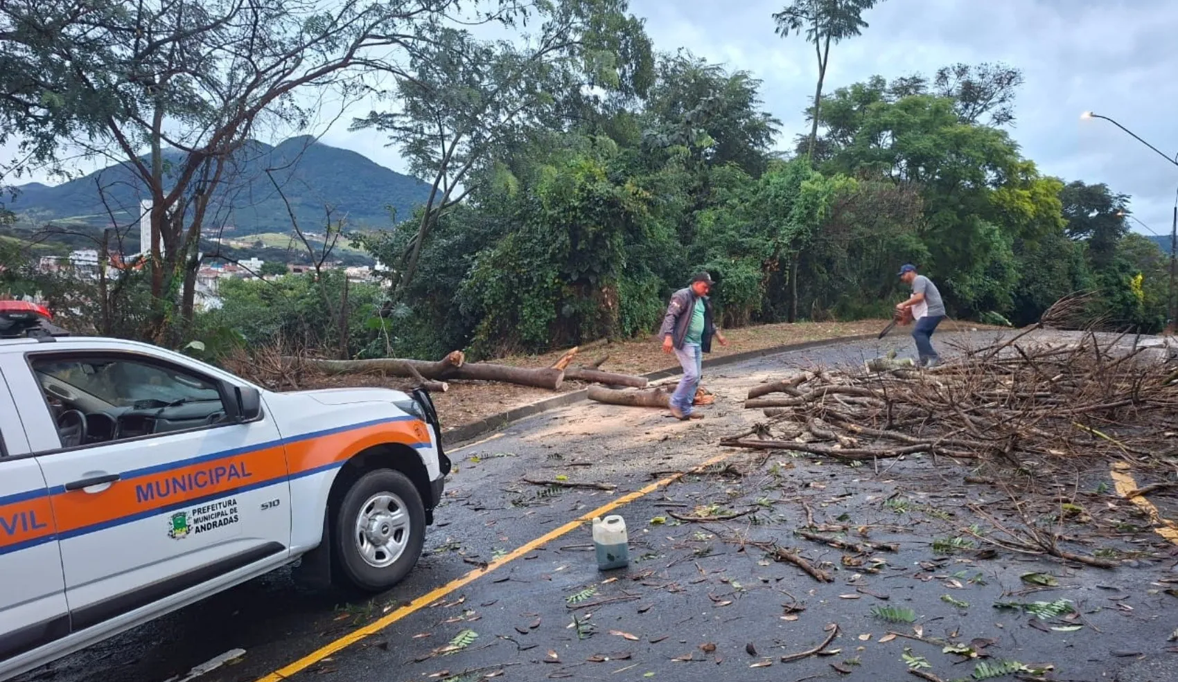 Chuva com ventos causa queda de árvore, destelhamento e falta de energia em cidades do Sul de Minas