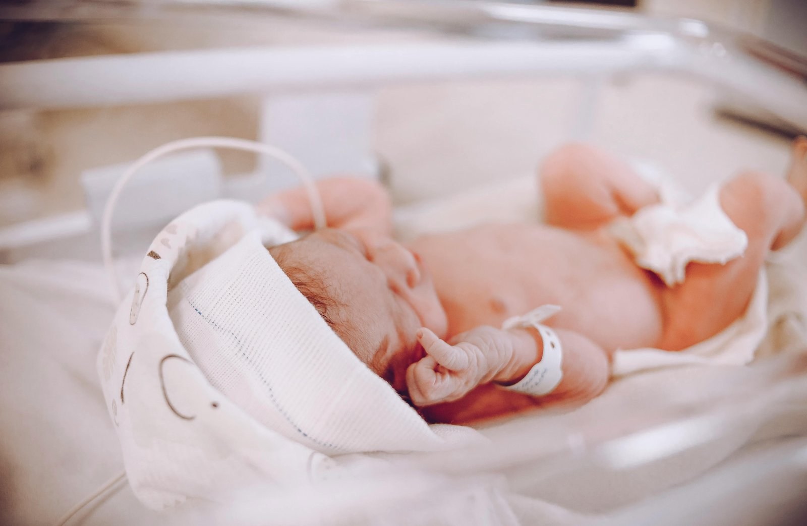 Possível “gene egoísta” fez família ter mais homens por 7 gerações | G1