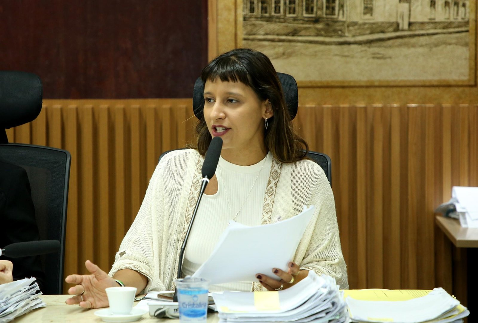 Comissão decide arquivar denúncia contra vereadora Brisa Bracchi (PT) | G1